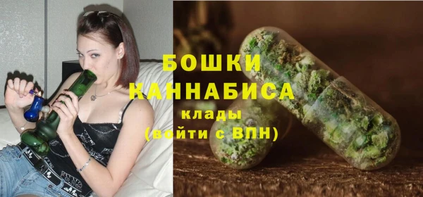 соль ск Арсеньев