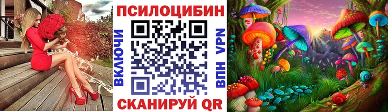 Псилоцибиновые грибы Psilocybe mega вход Спас-Деменск
